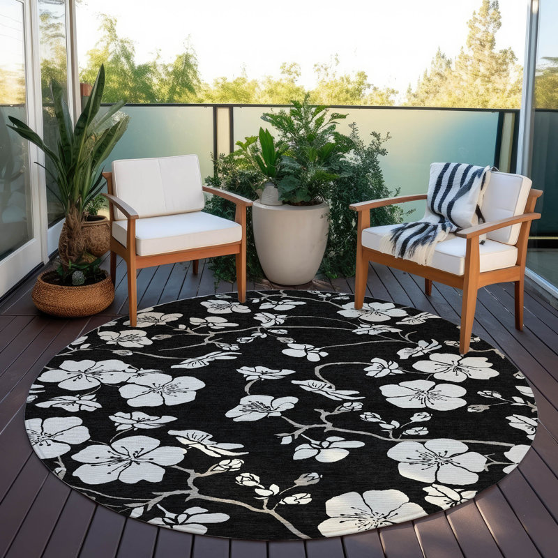 Tapis intérieur / extérieur noir Ensa , 3 pi x 5 pi