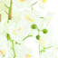 Arrangement d'orchidées Joellen
