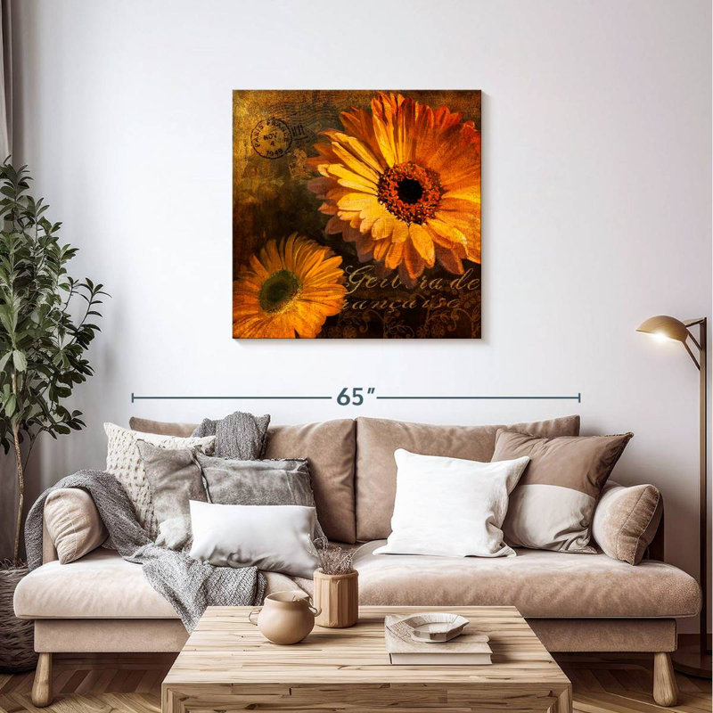 Harnek Gerbera II, H 36 po x l 36 po
