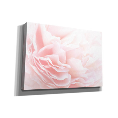 «Rose 2» par Photoinc Studio, art mural sur toile, 40 po x 26 po