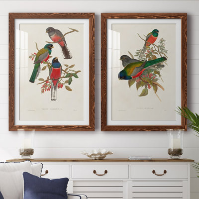 Elegant Trogons IX - reproduction de cadre photo sur toile 2 pièces