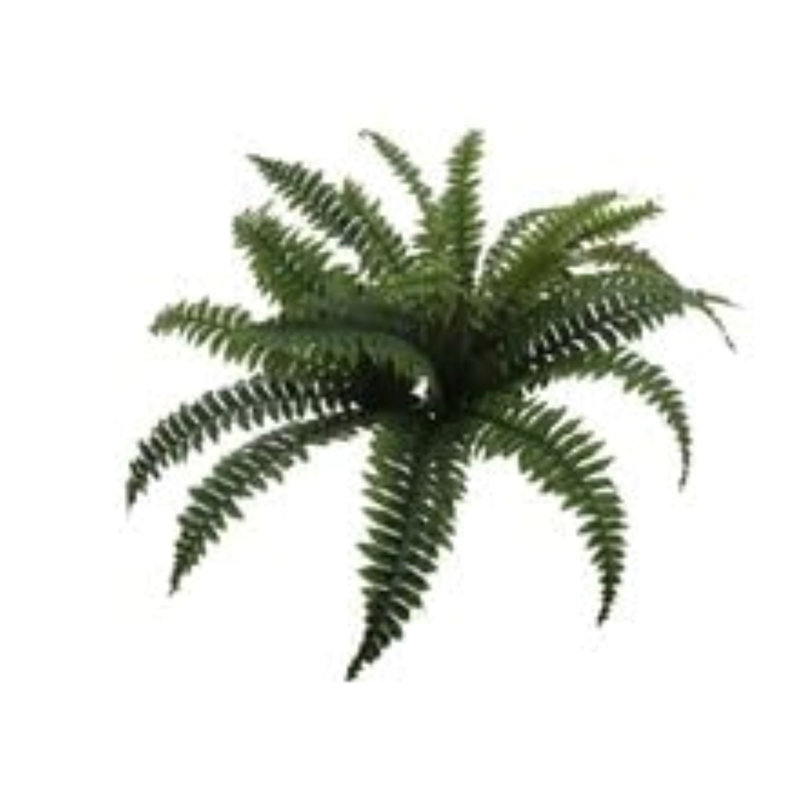 2 pièces plante de fougère de Boston avec 25 feuilles de soie 28 "de large - Collection printemps 2025