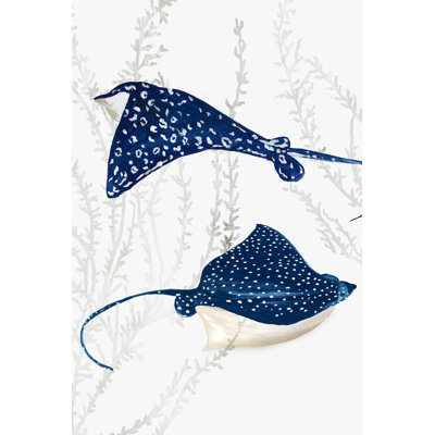 Bleu Stingray III