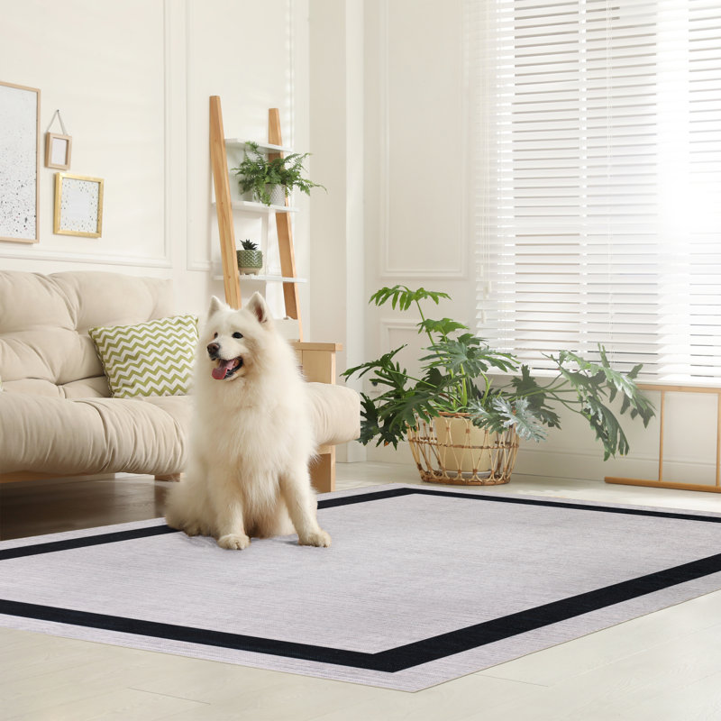 Washable Indoor Rug, Rectangle 4' x 6'