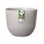 Plant Pot-72816988-72816990
