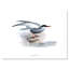 Oiseau rétro de l'Europe I - peinture sur toile-59814334-59814335