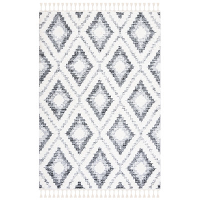 Aidaliz Tassel Shag Performance Southwestern Rug
