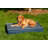 Orthopedic Polyester Pet Bed-1815721497-1815721494