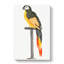 A Perched Parrot by Johan Teyler - Wrapped Canvas-55368304