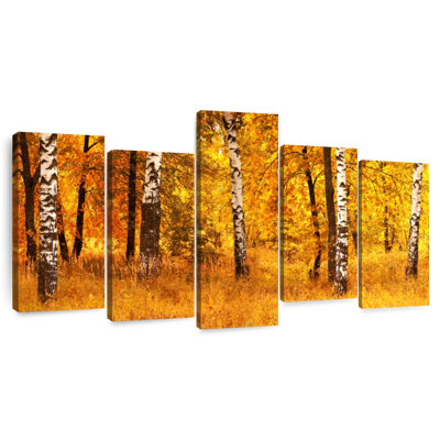 Forêt de bouleaux dorés Harnek