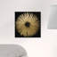 «Abstract Sunburst Golden Night», impression-51241196-119864311-51241194