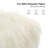 Irven Upholstered Ottoman