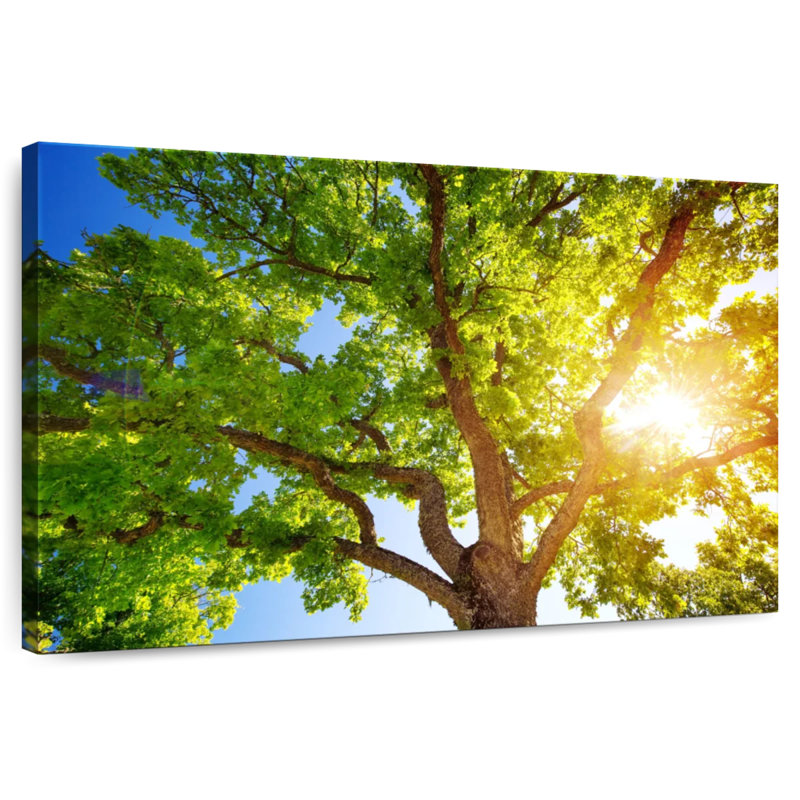 Harnek Oak Tree Foliage, 34" H x 51" W