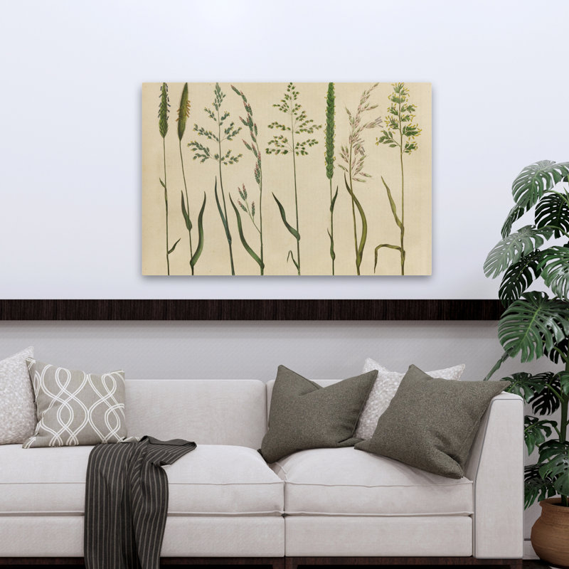 Botanical Charts Foxtails - Herbal Botanical VII, H 32 po x l 48 po