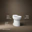 Kingston round-front toilet bowl