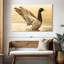 Canard colvert majestueux Brampt-107845163