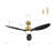 Loritta 52'' 3 - Blade Large Indooor Ceiling Fan With Light Kit and Remote, 3 LED Colors, 6 Speed Noiseless DC Motor, Timer-1597384105-1597459141