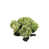 Green is out of stock