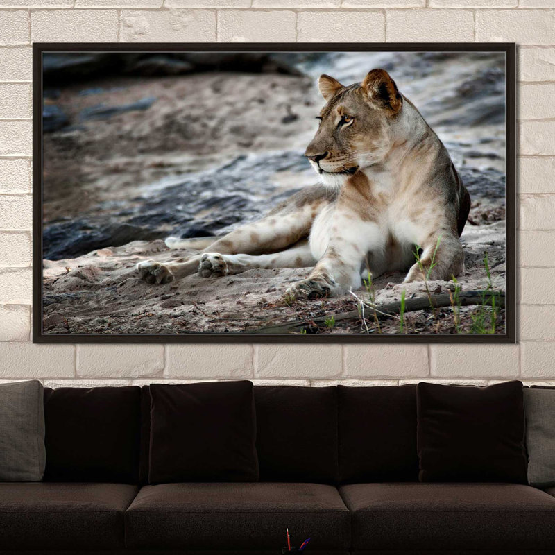 «Afprès Pose», reproduction de photo, H 31,5 po x l 51,5 po x P 2 po, Cadre flottant espresso