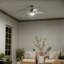 Ventilateur de plafond DEL standard à 5 pales 56 po avec télécommande et ensemble d'éclairage inclus Chilchinbito-675263259