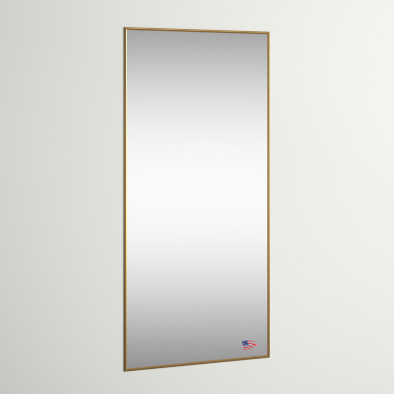 Miroir pleine grandeur Ferndown, 66,5 po x 33,5 po