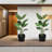 Kozyard 4Packs Taper Planter Indoor Outdoor Plant Pots with Tray Collecting Water for Porch, Patio, Backyard-61706229-61706122