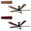 Ceiling Fan with LED Lights-350266708