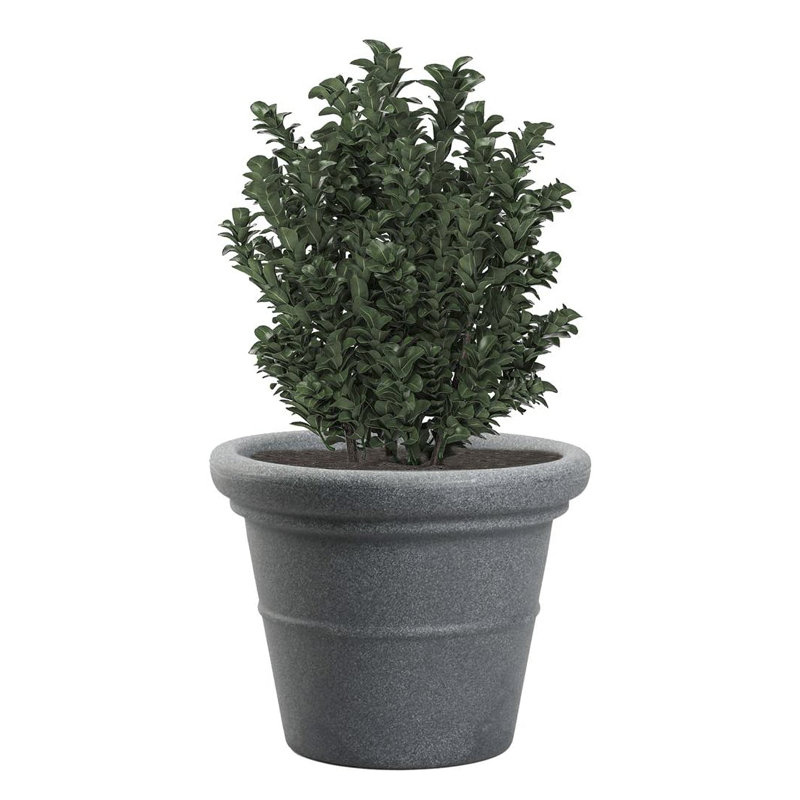 Pot à fleurs en plastique