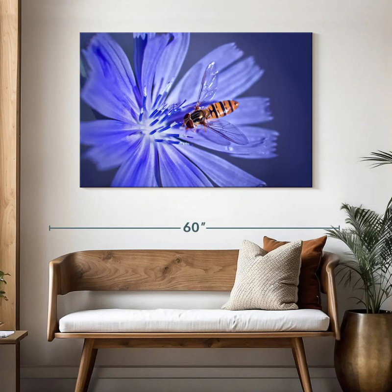 Bee On Chicory Flower, 32" H x 48" W