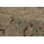 One-of-a-Kind 11'9"x17'3" Hand Knotted Area Rug