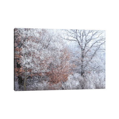 Rime Ice And Fog by Brian Wolf - Wrapped Canvas Print