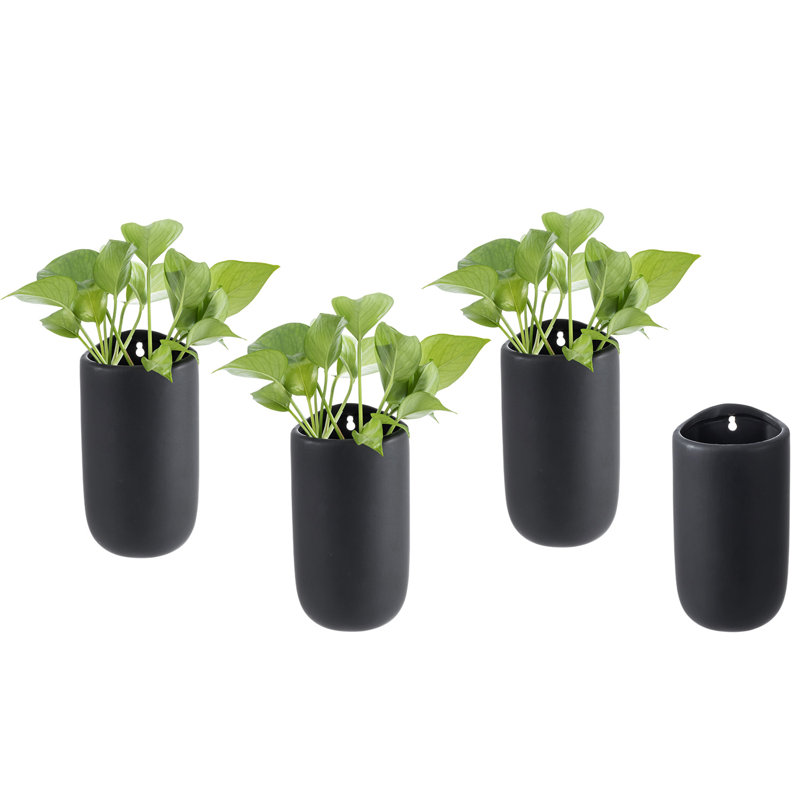 Wall Planter