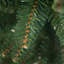 WOODLANDER SPRUCE - Artificial Slim Christmas Tree-2130094584