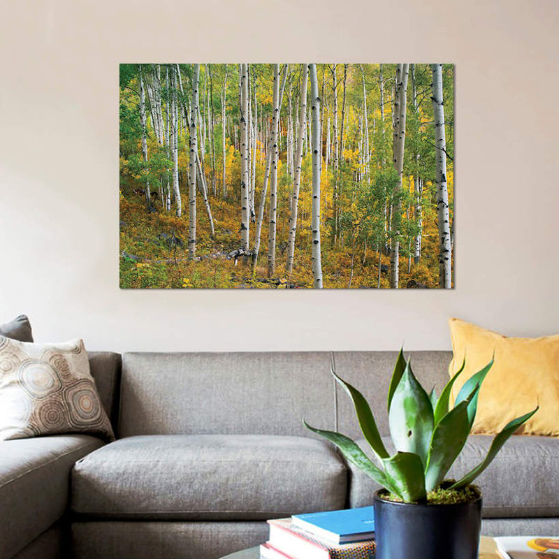 «Quake Aspen Forest, Colorado I», reproduction de photo sur toile, H 12 po x l 18 po x P 1,5 po, Toile tendue, Pas de tapis