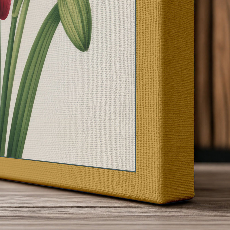 Amaryllis in Bloom Botanical - Wrapped Canvas, Ochre Border, 30x20 - 76.2 x 50.8 cm