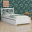 Lit plateforme avec lit gigogne-966863030