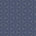 Blue/Silver