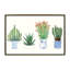 « quatre plantes grassess i » par melissa wang-, reproduction d’art-49920498-53128687