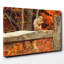 Squirrel Autumn Forest Photographic - Wrapped Canvas-19093502