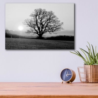 «Meadow Tree» par Photoinc Studio, art mural en verre acrylique,