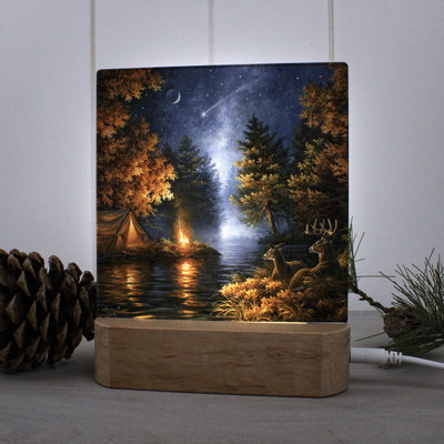 Wishing upon a Star Night Light
