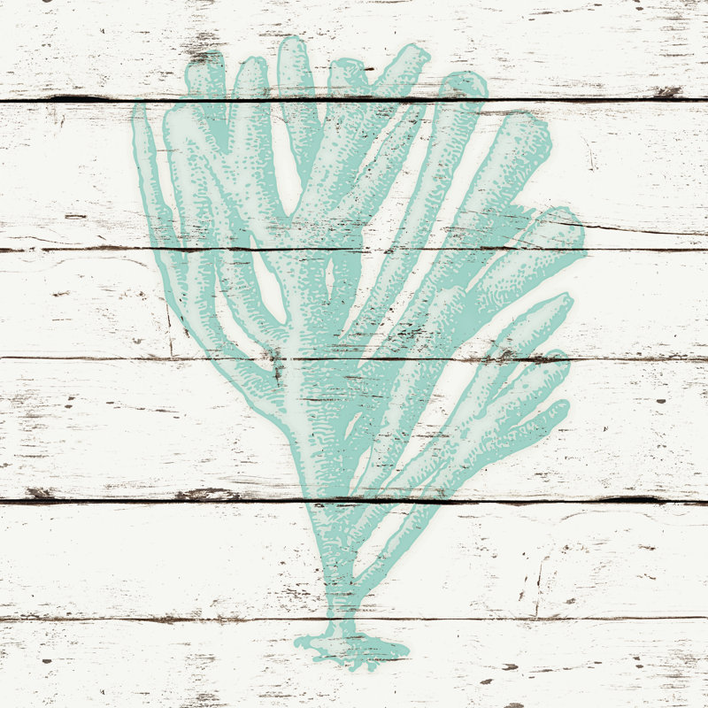 Mint Green Coral - Wrapped Canvas Print, 30cm H x 30cm W x 3.8cm D