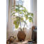 Pièce de décoration artificielle plante artificielle Toon chinois