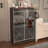 Elegant Decor Mirrored Cabinet With Silver Edging,Mirrored Cabinet With Double Door Storage,Shoe Storage Cabinet For Entryway,Glass+Brown Finish