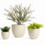 Pot à fleur Dorlis Fiberstone-809609162-881441130