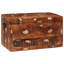 Camp Trunk / Footlocker-1703121835