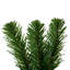 30" Deluxe Sequoia Pine Wreath 240T