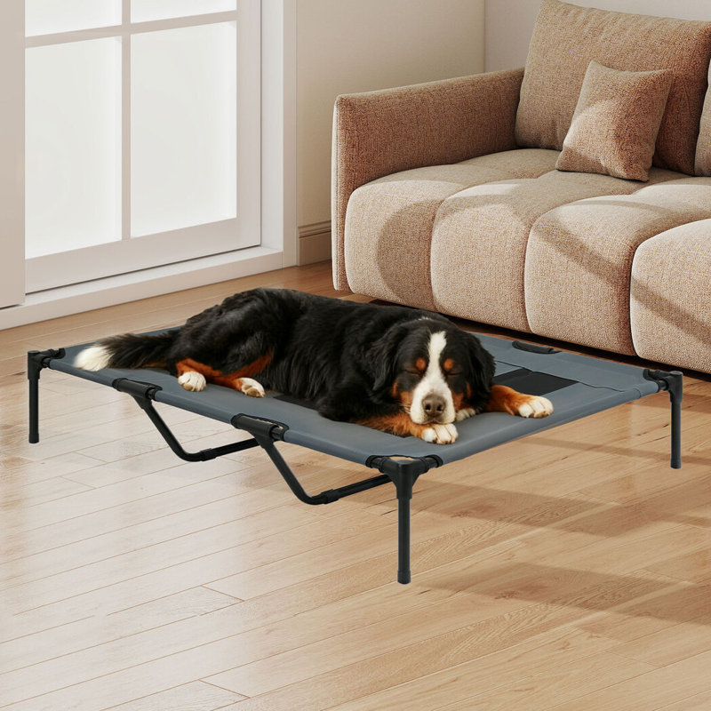 Pet Bed