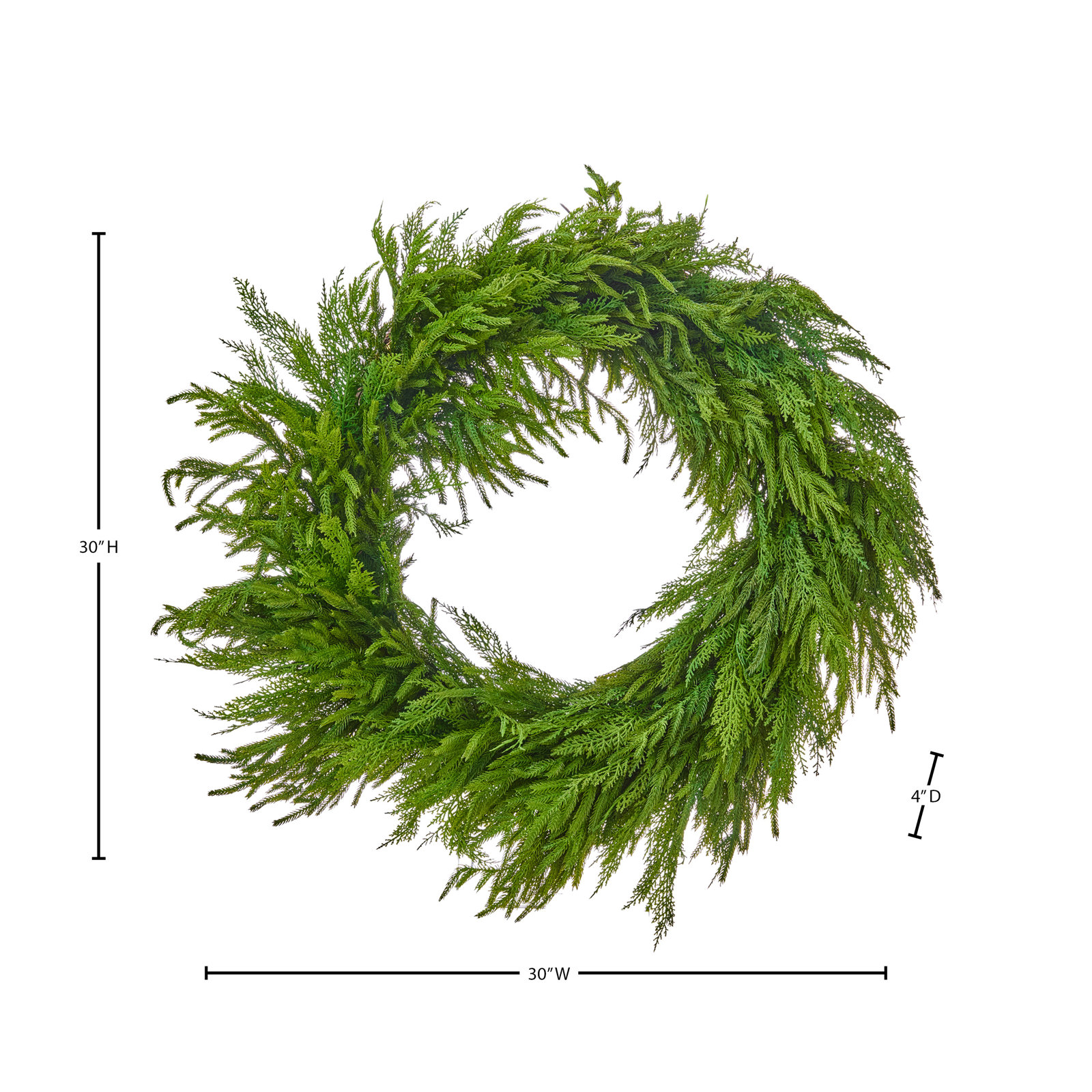 The Holiday Aisle® Steger 30" Cedar Wreath