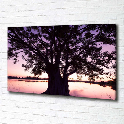Tree And Lake - No Frame Print on Canvas